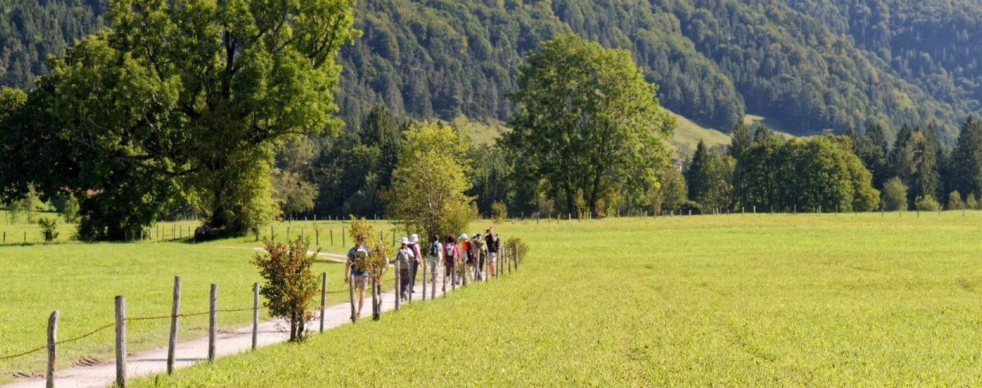 Groupe de randonneurs dans les prairies autour du Walchsee - Tyrol - Autriche