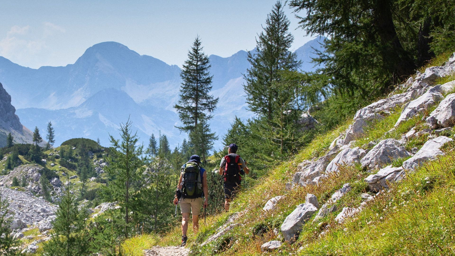 Randonneurs sur un sentier boisé - Triglav - Alpes Juliennes - Slovénie