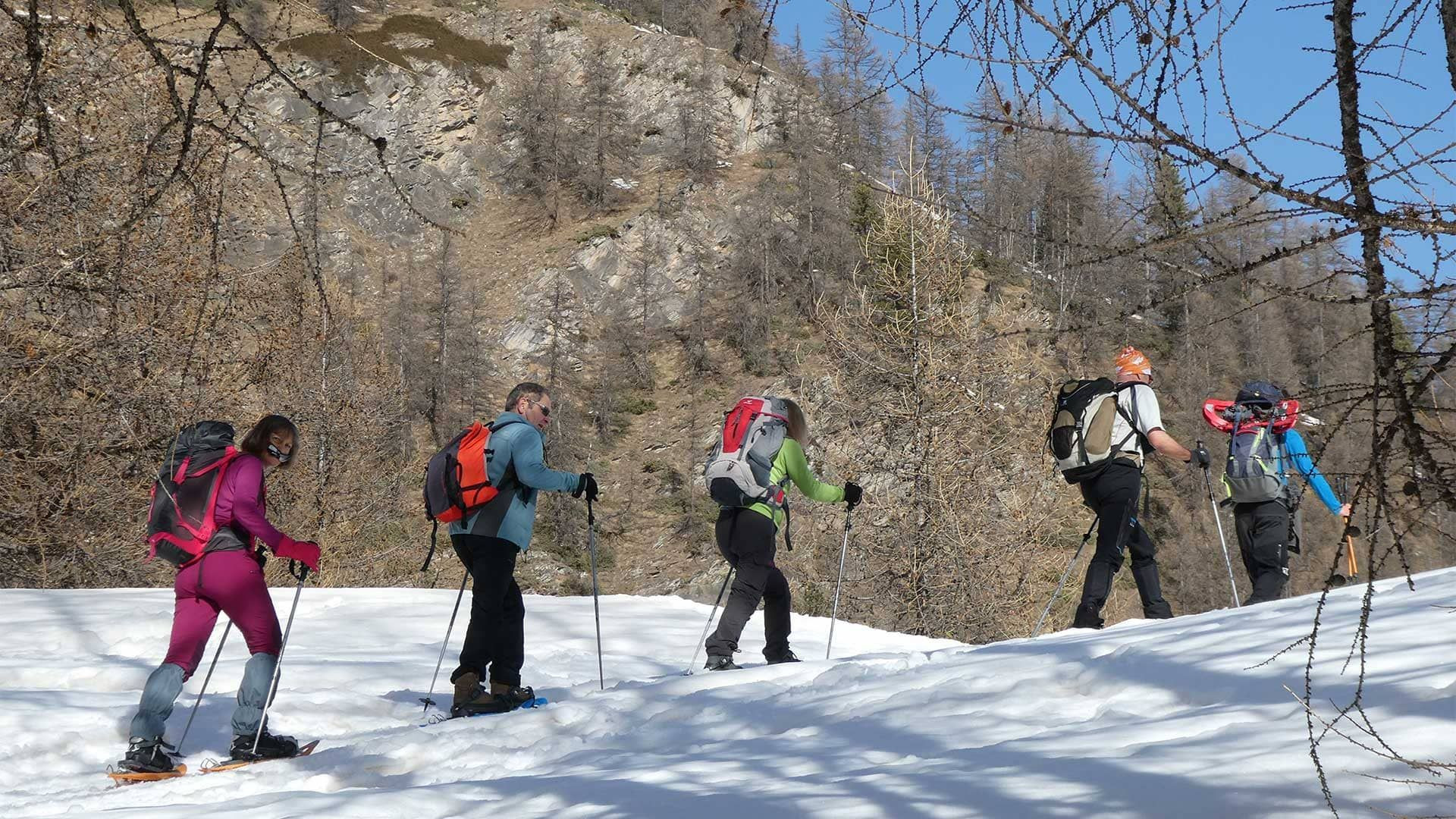 Groupe en raquettes sur la neige en forêt - Queyras - Hautes-Alpes, France