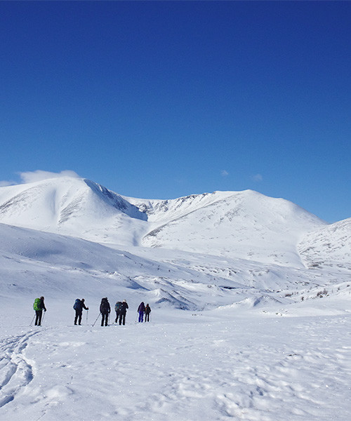 Groupe en randonnée hivernale sur un plateau de montagne enneigé