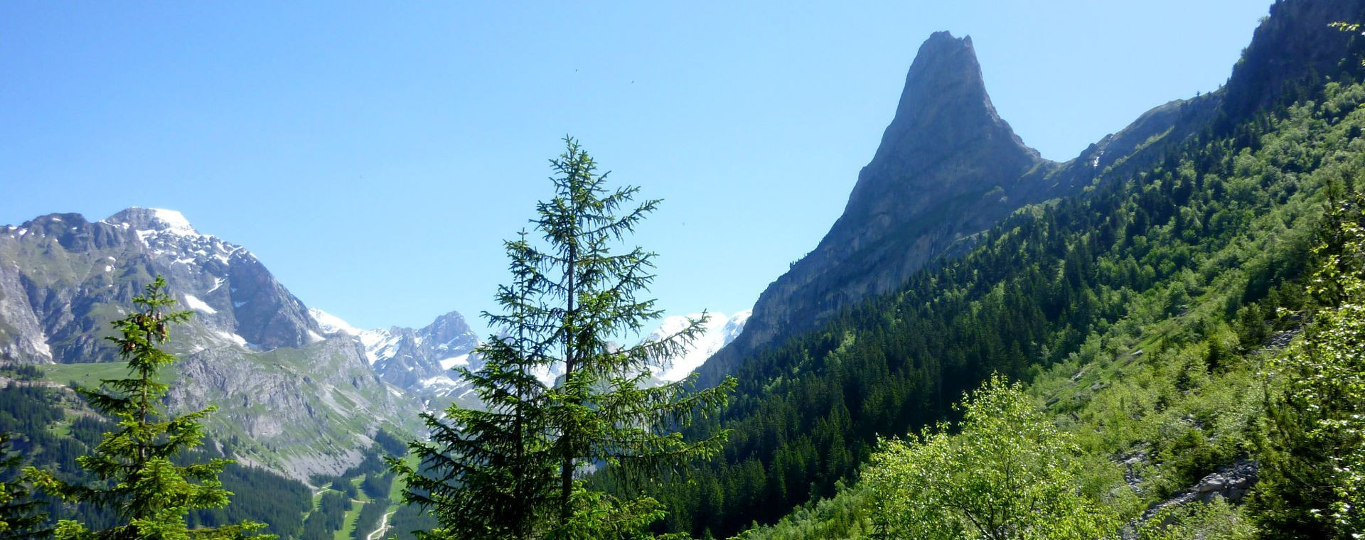 Aiguille rocheuse au-dessus d'une vallée boisée - Vanoise - Alpes