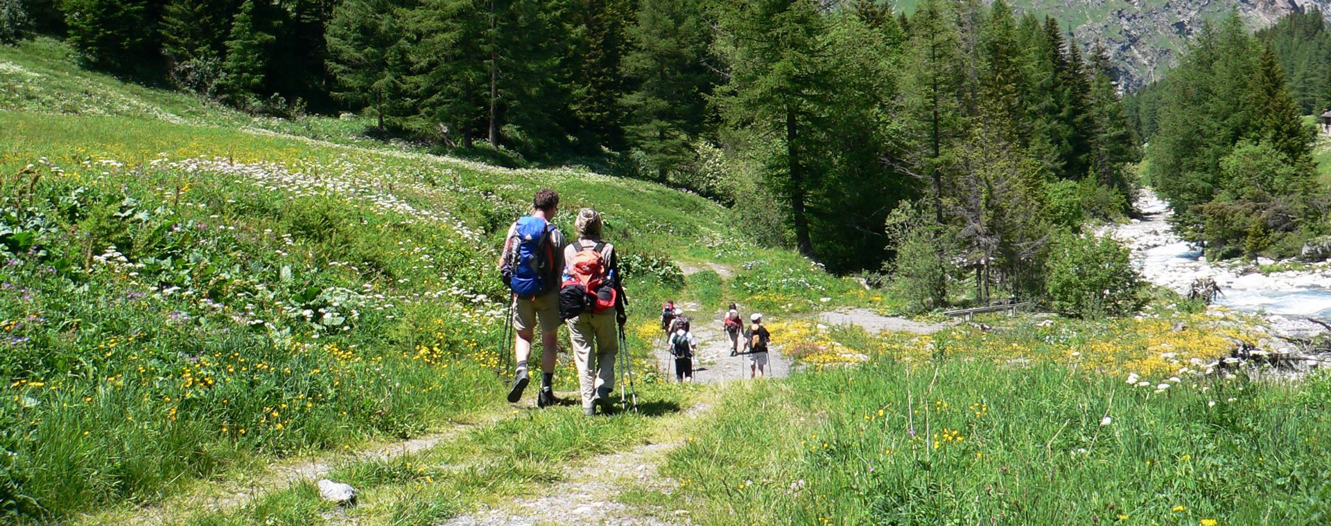 Randonneurs sur un sentier fleuri en vallée - Alpes du Nord - France