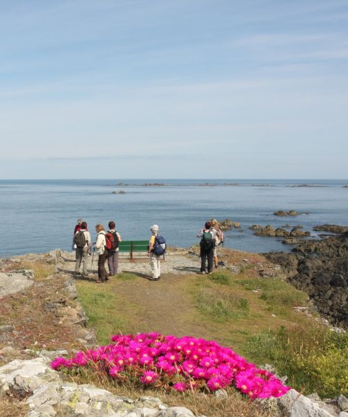 Guernesey - Pleinmont Point