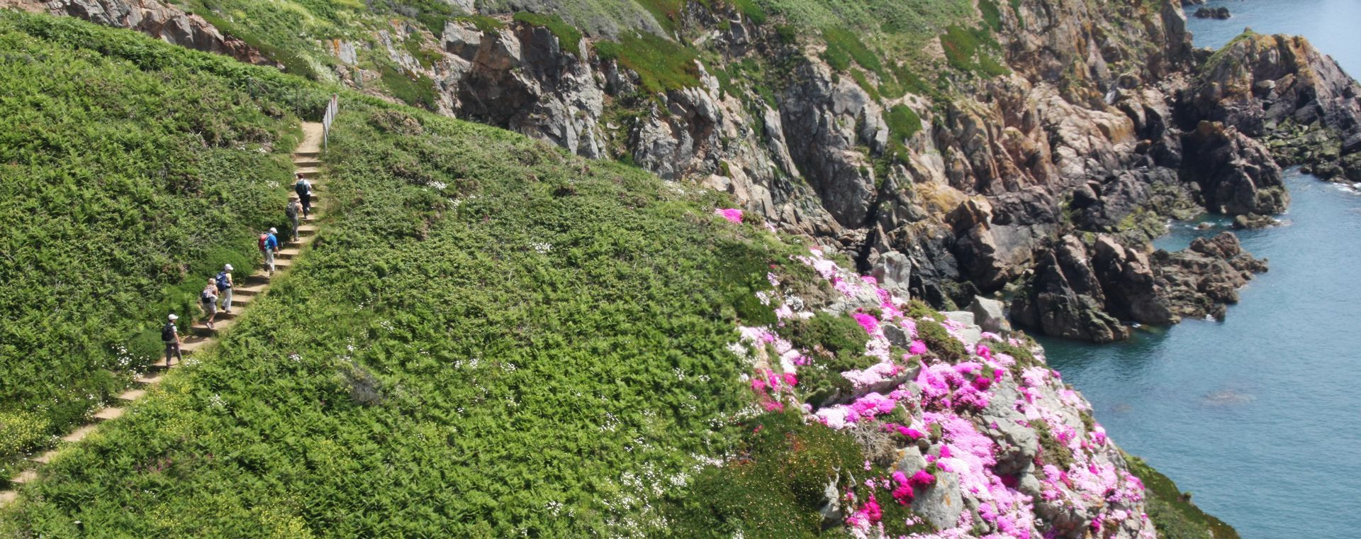 Randonneurs sur le sentier côtier fleuri - Guernesey - Îles Anglo-Normandes