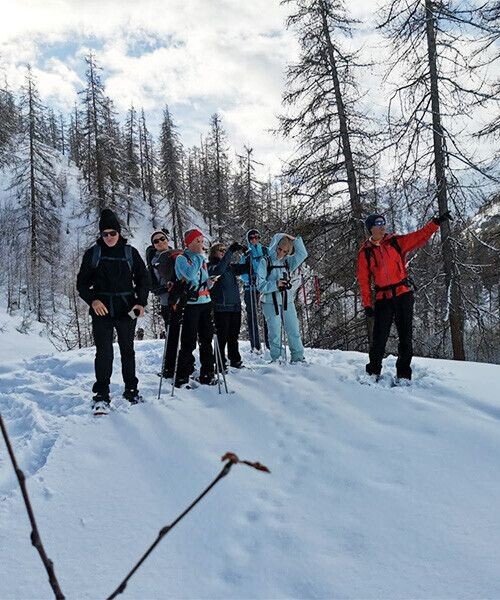 Groupe guidé en raquettes dans une forêt de mélèzes enneigée - Alpes