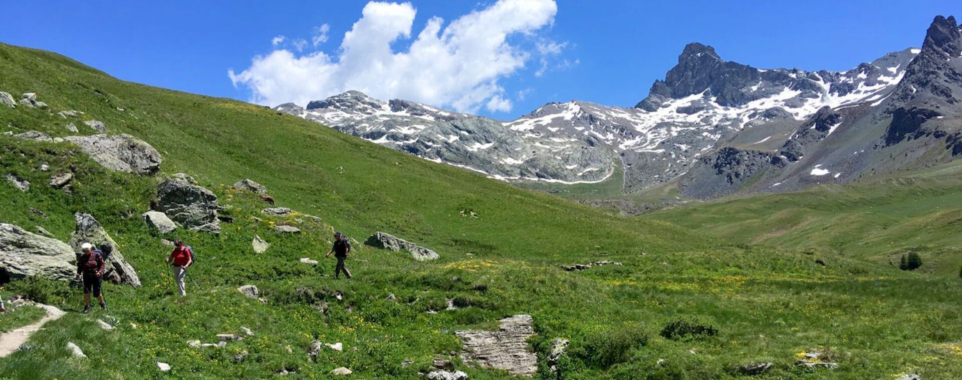 Randonnée accompagnée sur un alpage face aux sommets - Queyras - Alpes