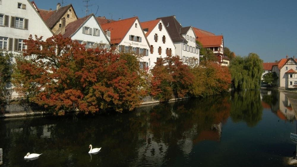 Maisons à colombages et cygnes à Riedlingen - Danube - Allemagne