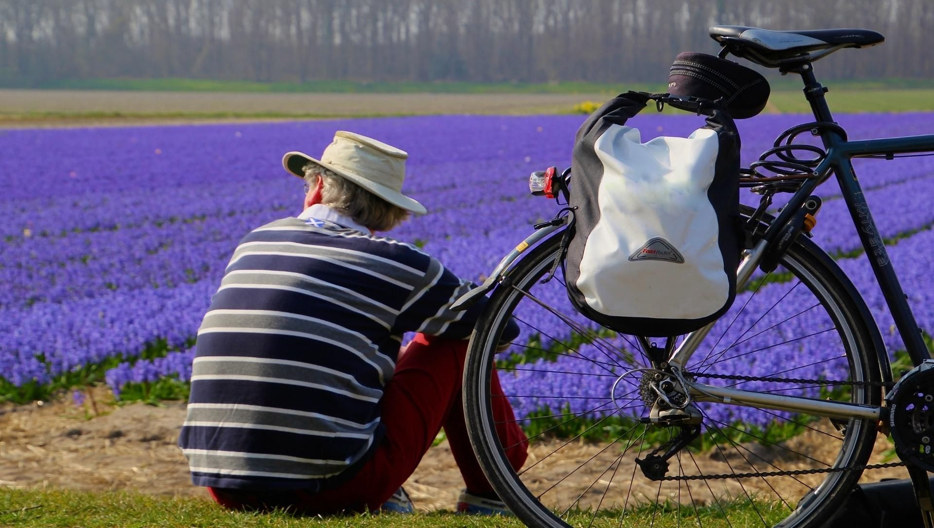Cycliste en pause devant les champs de jacinthes en fleurs - Hollande - Pays-Bas