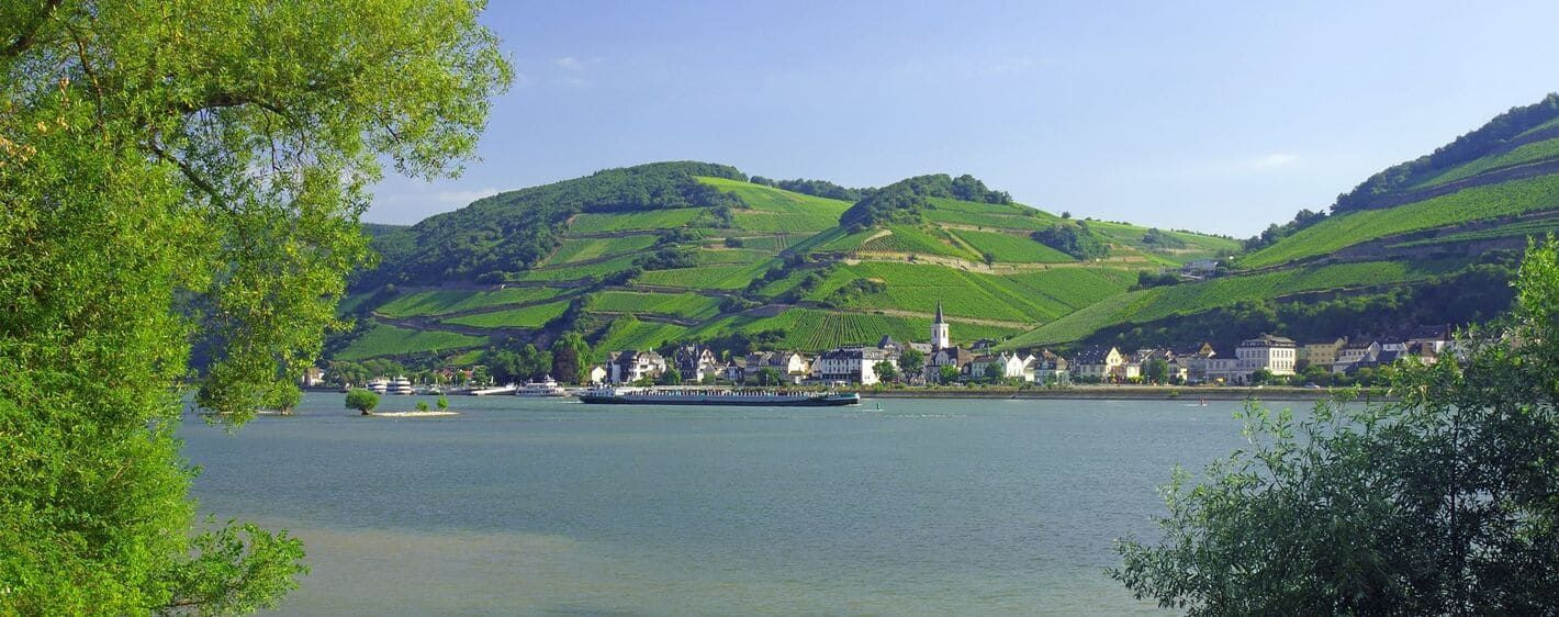Vignobles d'Assmannshausen le long du Rhin - Allemagne