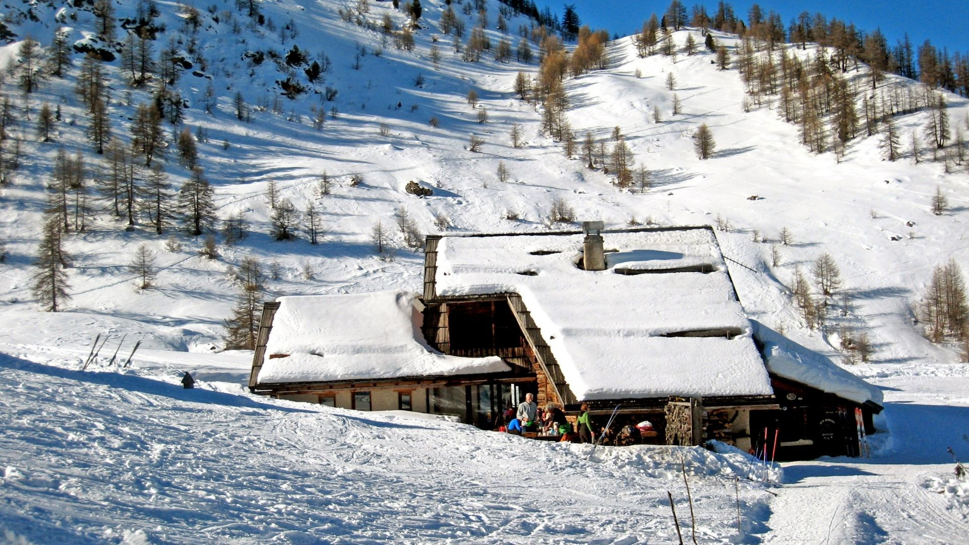 Chalet de montagne enneigé sous les mélèzes - Alpes - Autriche