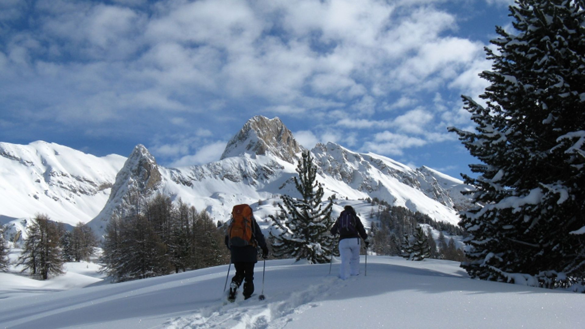 Randonneurs en raquettes vers les sommets - Queyras - Alpes - France