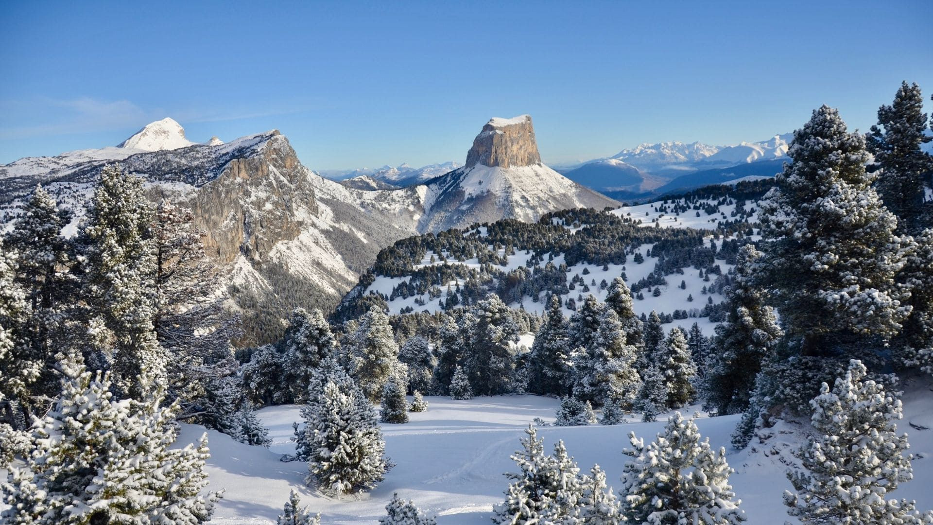 © Matthieu Offredi Mont Aiguille enneigé vu des sapins givrés - Hauts Plateaux du Vercors - France