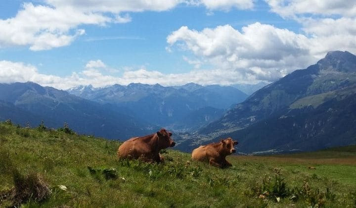 © Bellon header_vanoise_marc_bellon