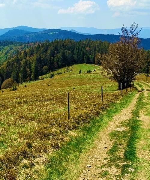 herzogenhorn_c_unsplash_.jpg