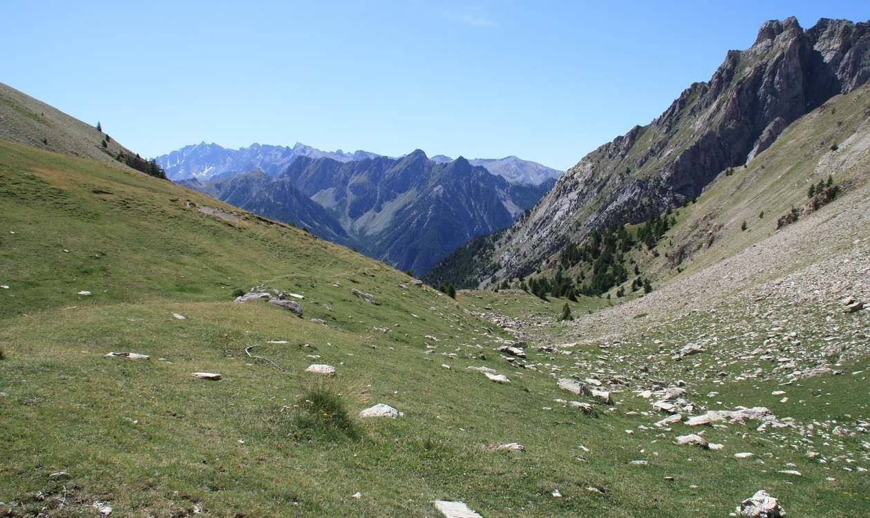 Haute Forêt-Noire - Allemagne