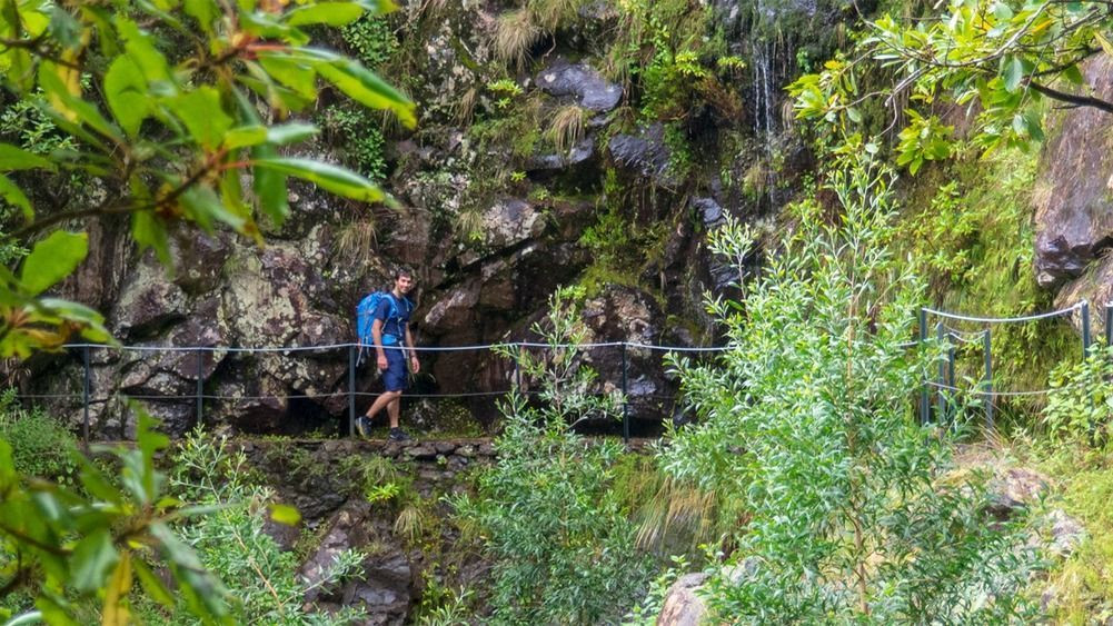 Hiker on a forest levada - Madeira - Portugal