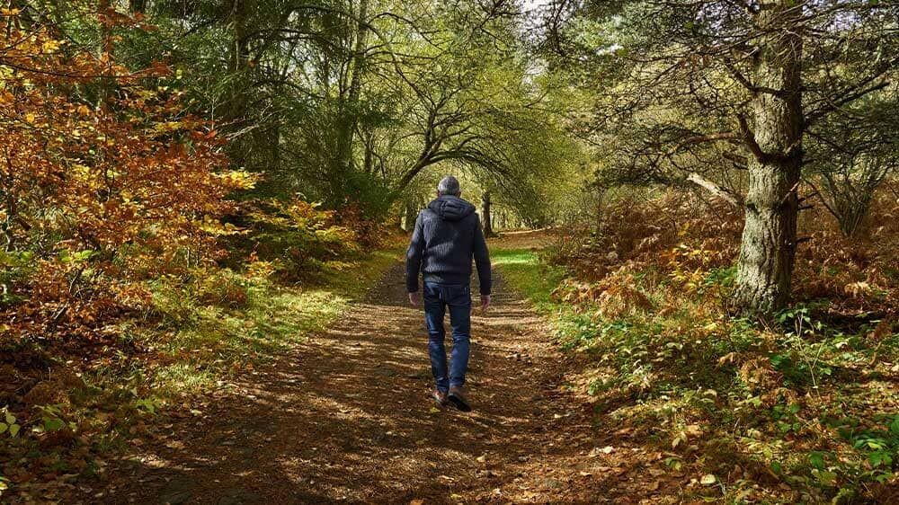 Randonneur sur un sentier forestier en automne - France