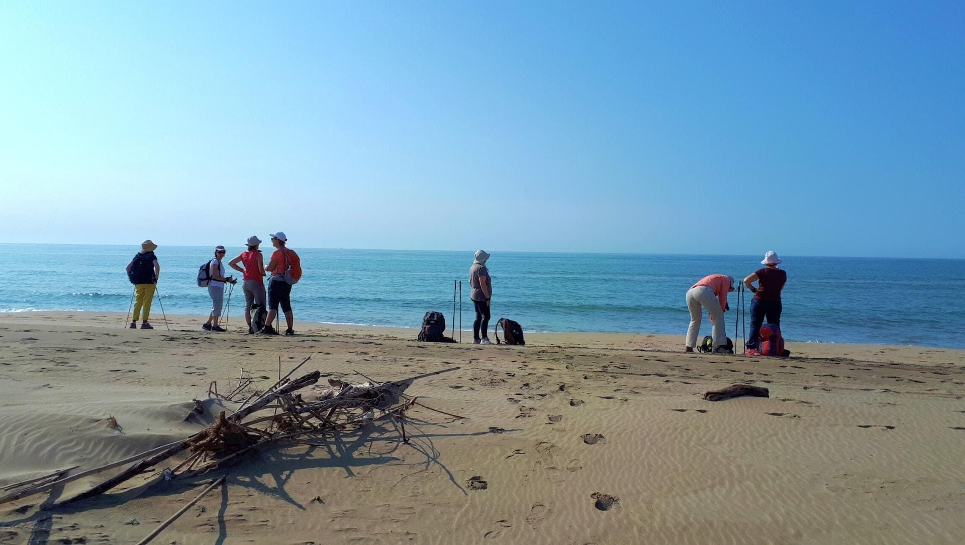 Marcheurs sur une plage au bord de la mer - France