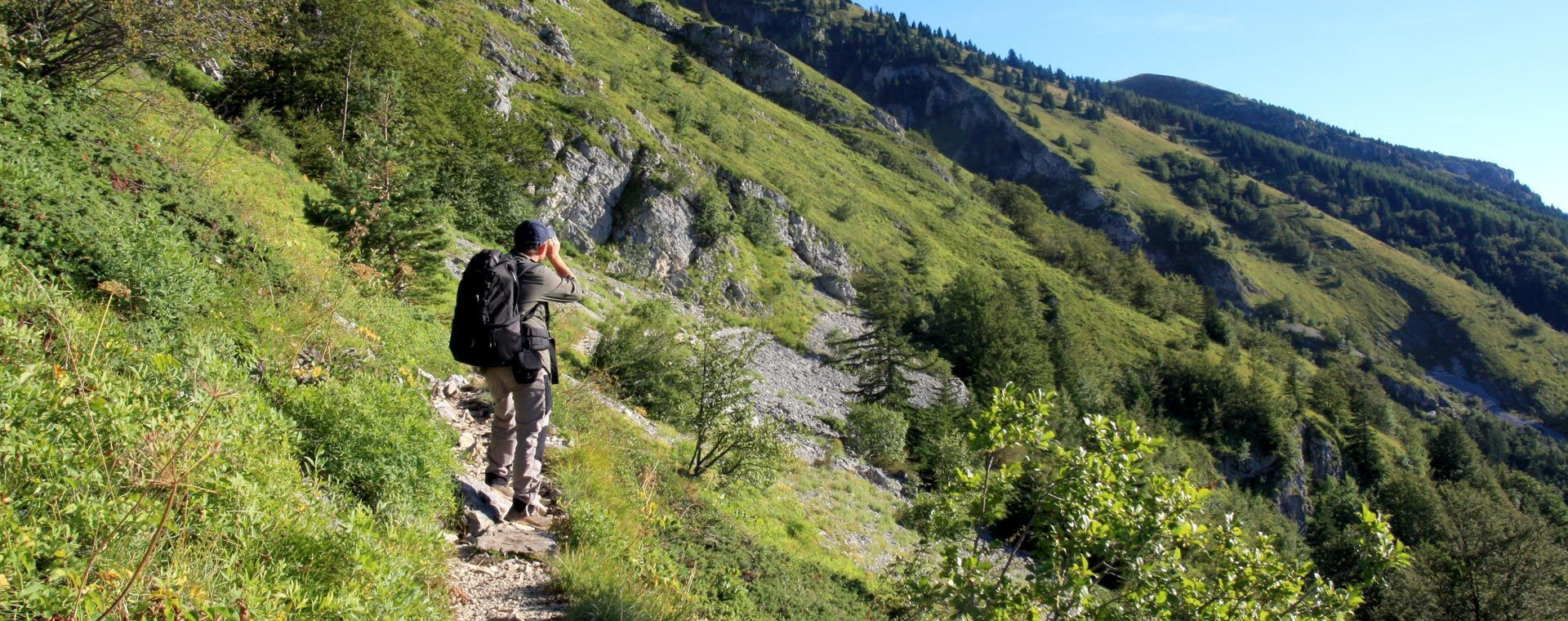 Randonneur sur le sentier Gobert - Vercors - Alpes, France
