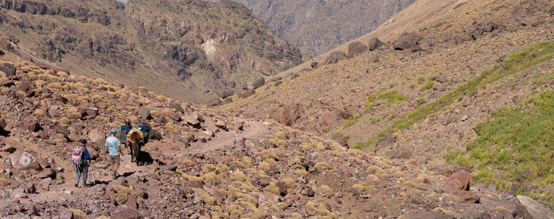 Randonneurs et mulet sur un sentier rocailleux - Haut Atlas - Maroc