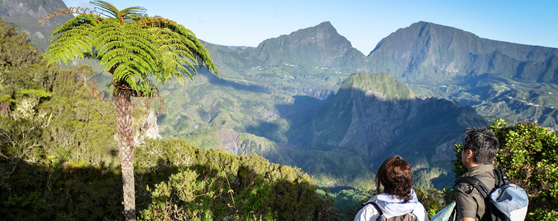 Randonneurs et fougère arborescente face aux montagnes - Forêt de Bélouve - Réunion