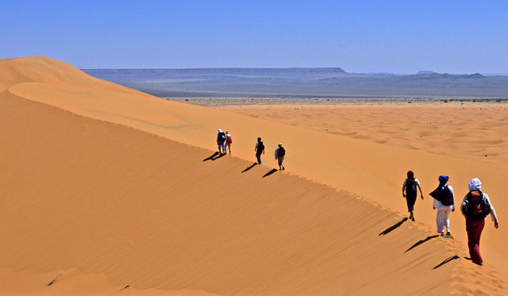 Randonneurs gravissant une dune de sable doré - désert du Sahara - Maroc