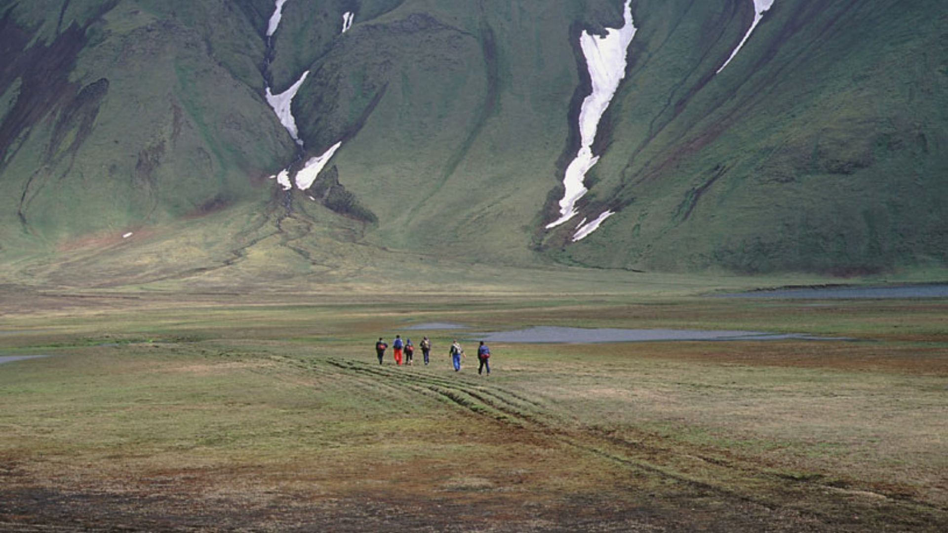 Randonneurs traversant une vallée verdoyante au pied de montagnes enneigées - Islande