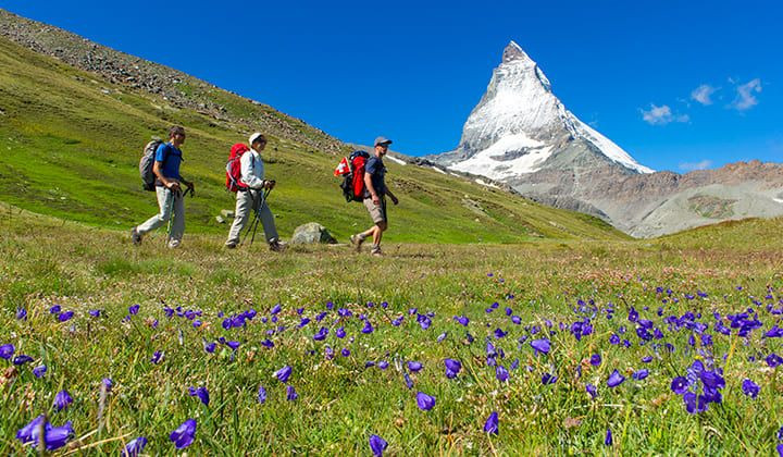 Randonneurs dans une prairie fleurie face au Cervin - Alpes suisses