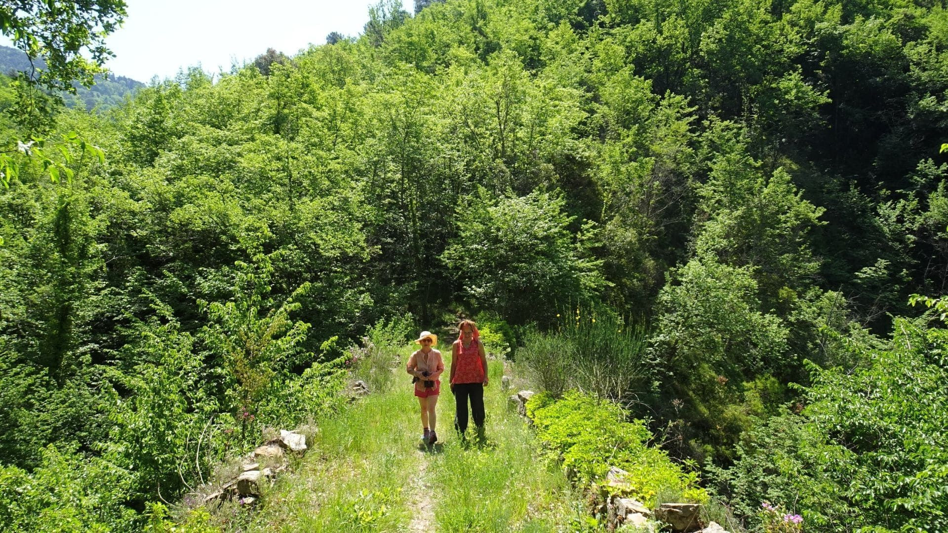 © Marie-Odile Ré Randonneuses sur un sentier verdoyant - Entre Menton et San Remo - Riviera