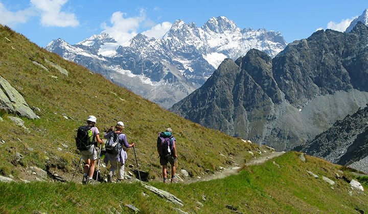 Randonneurs sur un sentier alpin face aux sommets enneigés - Chamonix-Zermatt - Suisse