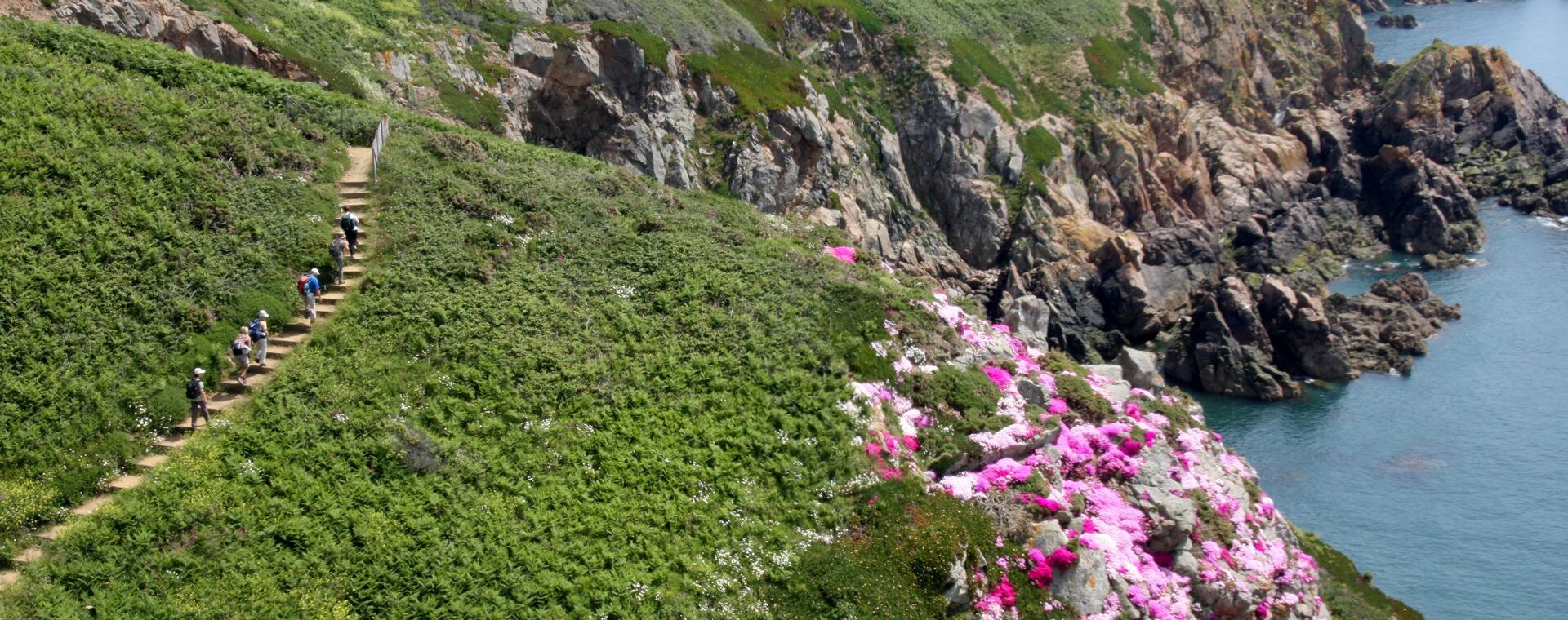 Randonneurs sur un sentier côtier fleuri - île d'Amorgos - Cyclades - Grèce