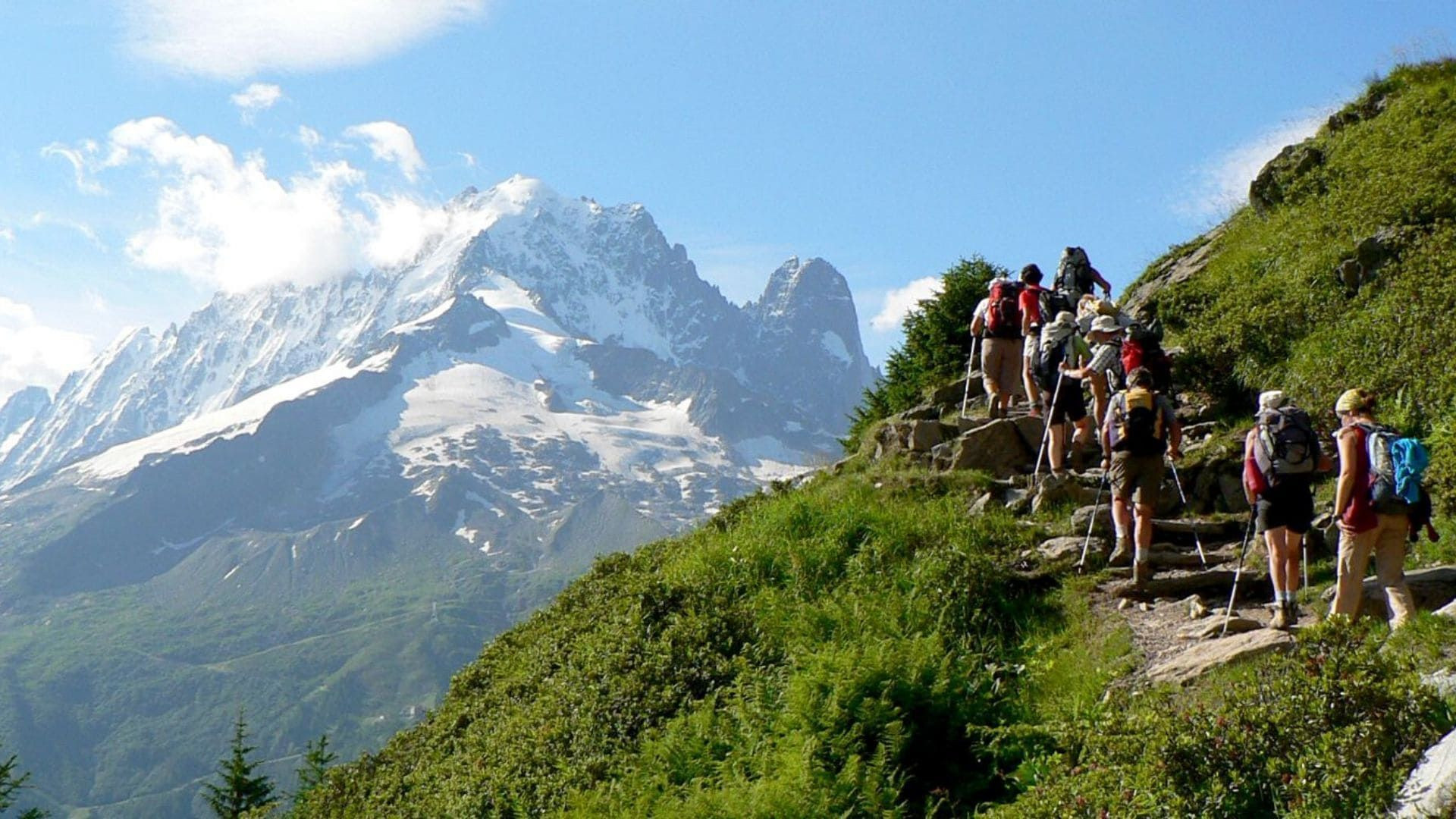 Randonneurs sur un sentier face aux Aiguilles de Chamonix - Alpes - France