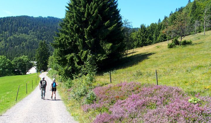 Randonneurs sur un chemin fleuri en Forêt-Noire - Allemagne