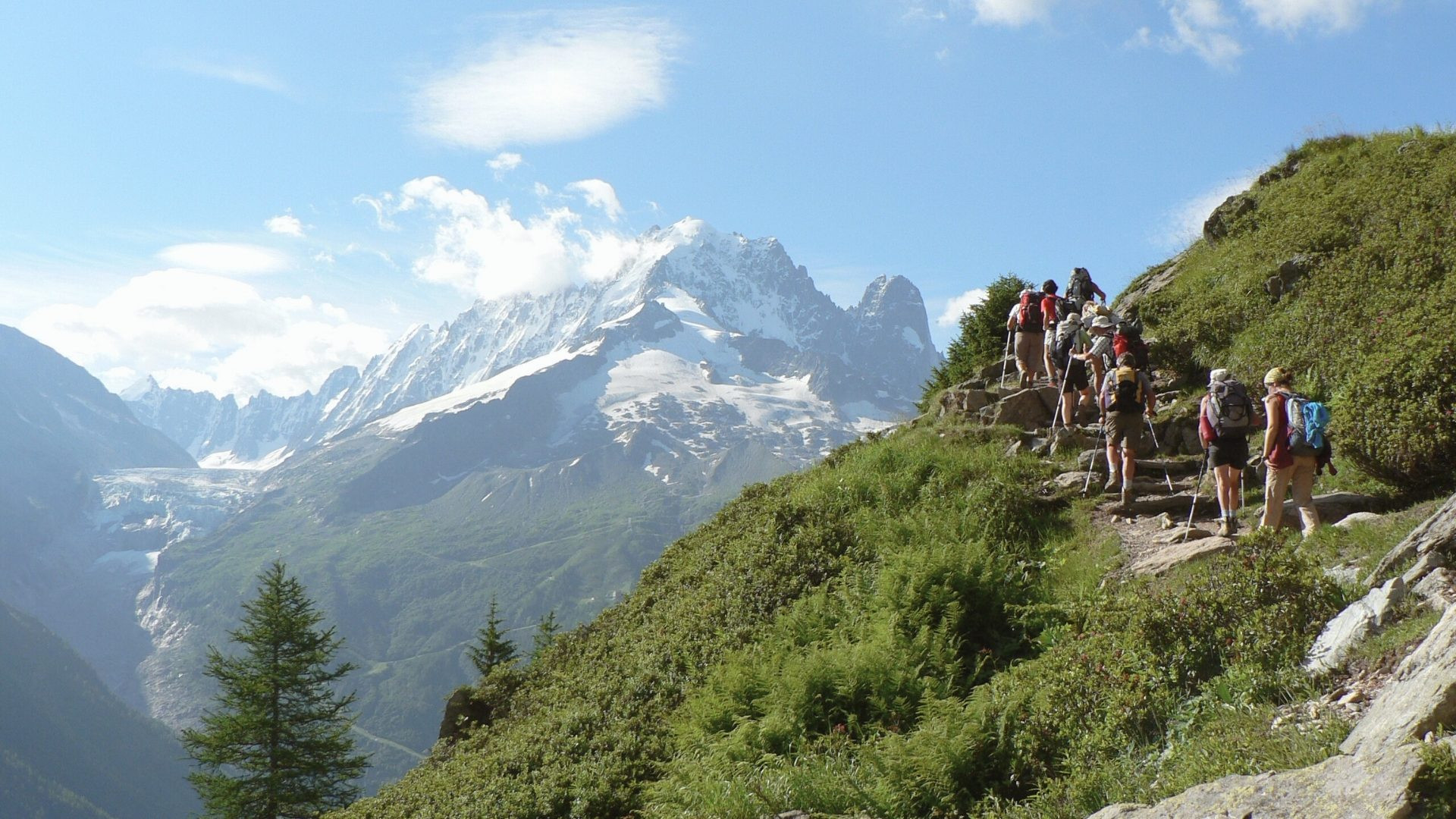 Randonneurs en trek face à l'Aiguille Verte - Mont-Blanc - France