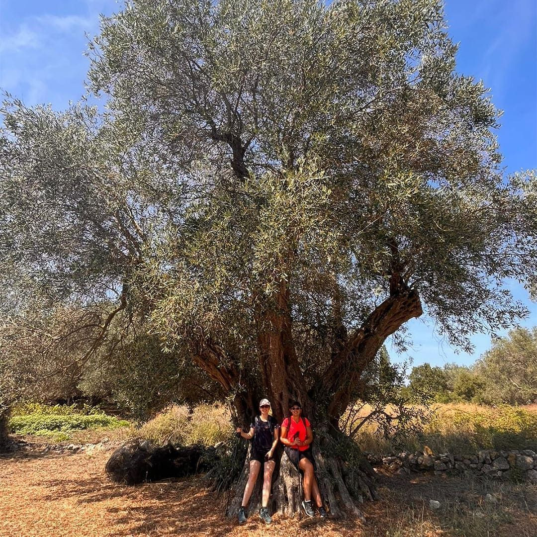 © Oriane Tempé Hiking through the olive groves © Oriane Tempé