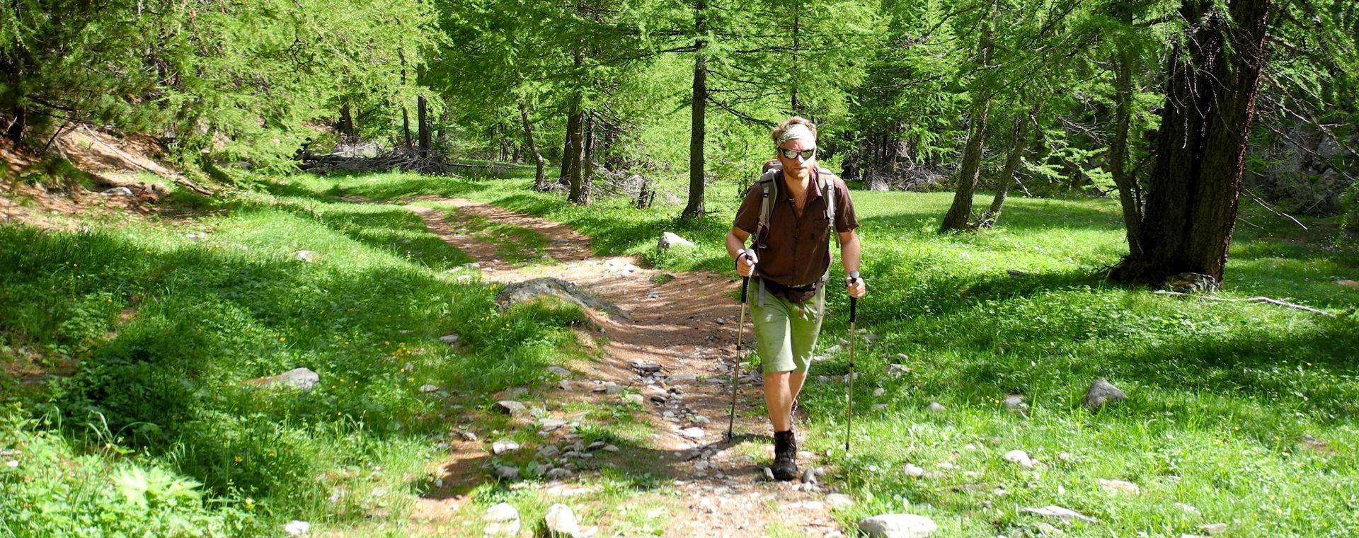 Randonneur sur un sentier forestier entre Villar-d'Arène et Le Monêtier-les-Bains - Oisans - France