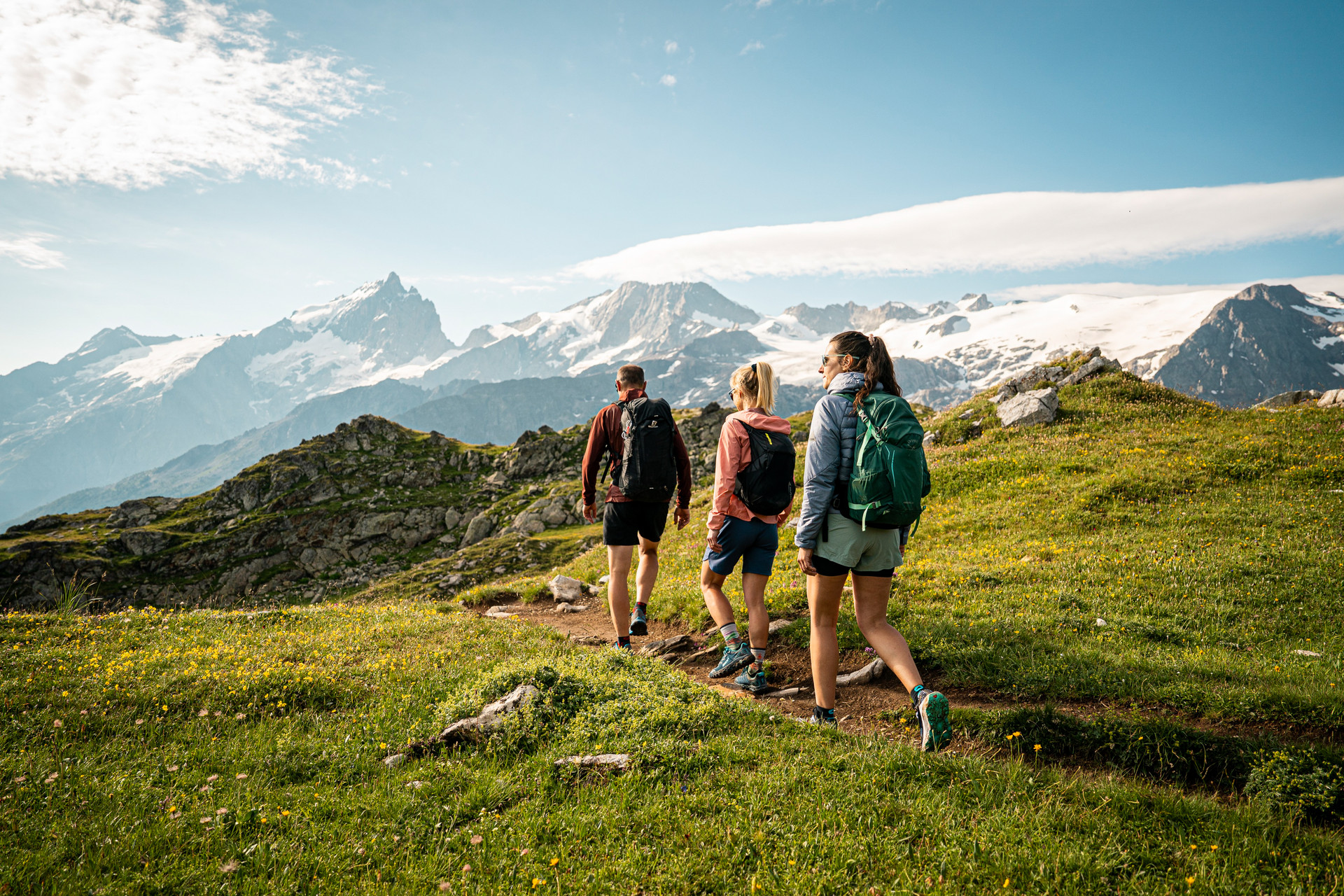 Three hikers on an alpine pasture trail facing the glaciers of the Écrins