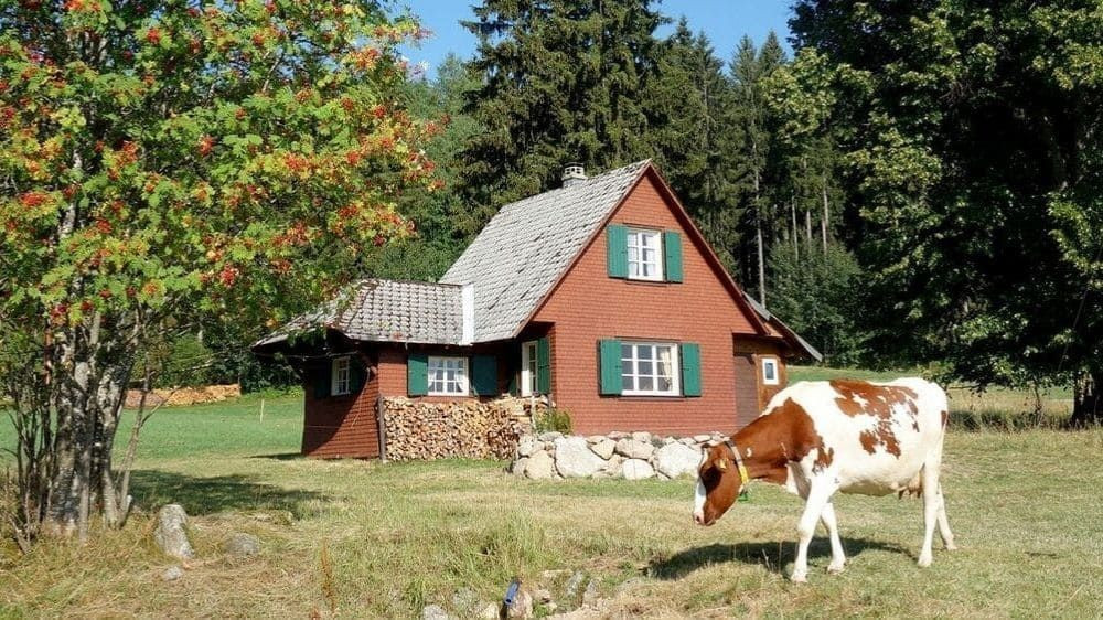 © Jean-Claude Praire Randonnée en Forêt-Noire - Allemagne