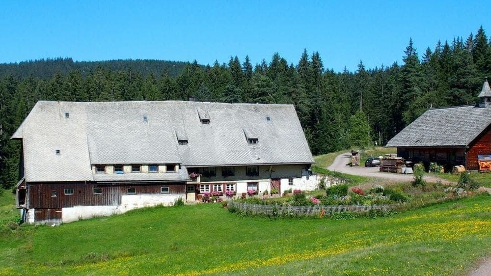 © Jean-Claude Praire Randonnée en Forêt-Noire - Allemagne