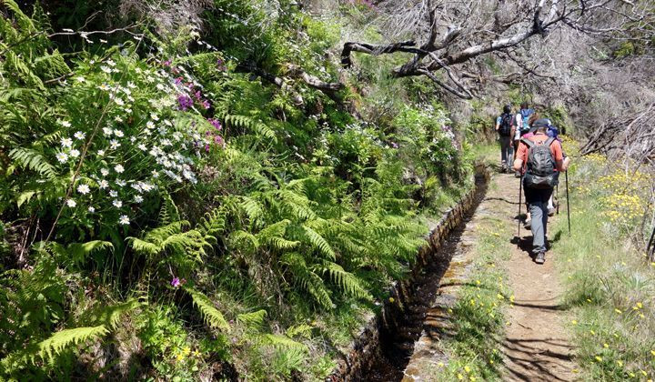 Randonnée le long de la levada do Furado - Madère - Portugal