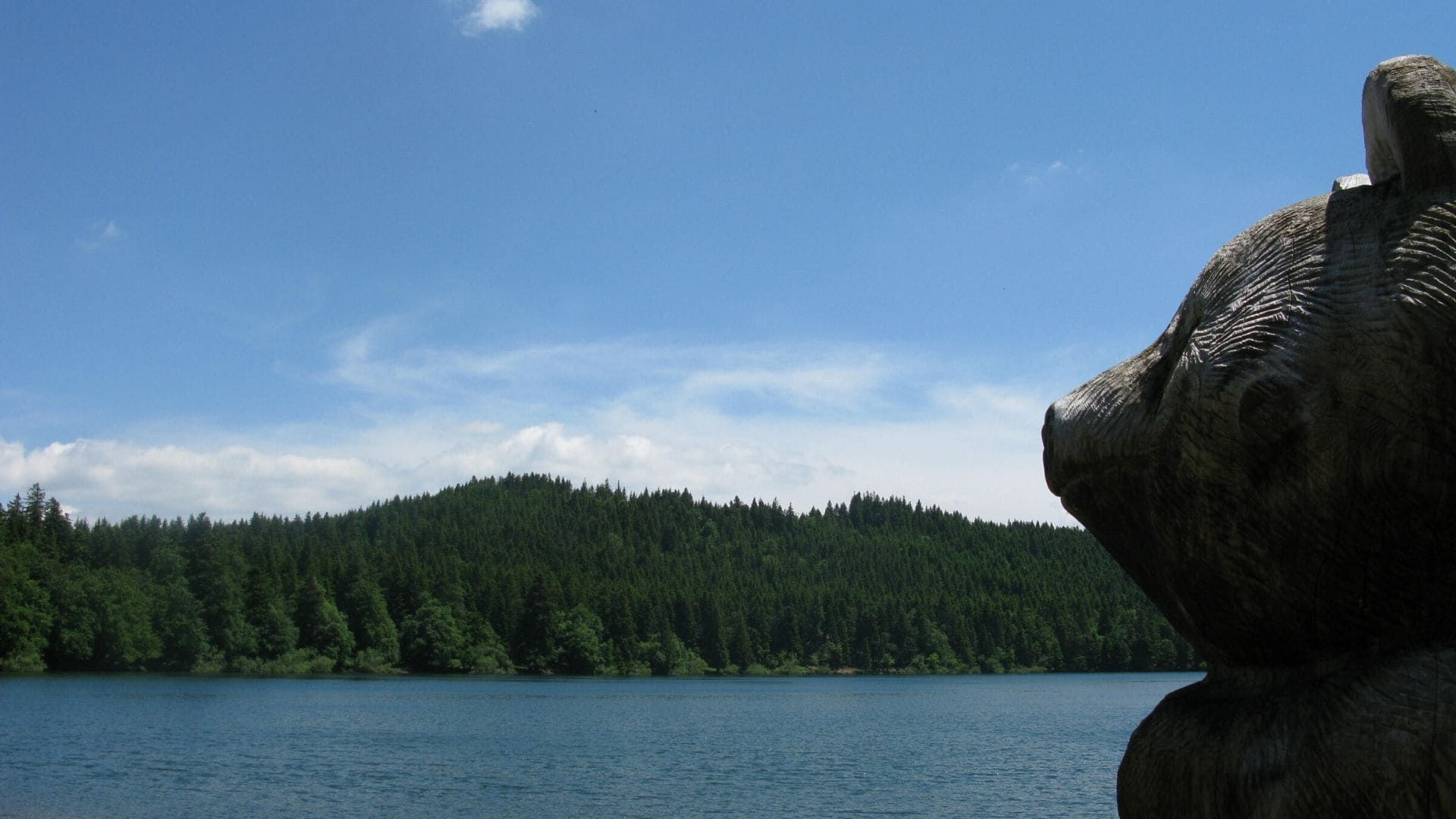 Sculpture en bois au bord d'un lac forestier - Massif Central - France
