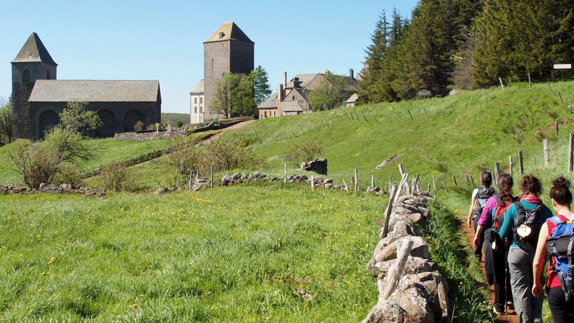 Randonnée sur le chemin de Stevenson - Massif central - France