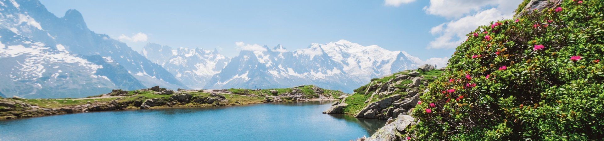 Lac de montagne et rhododendrons face au Mont-Blanc - Alpes - France