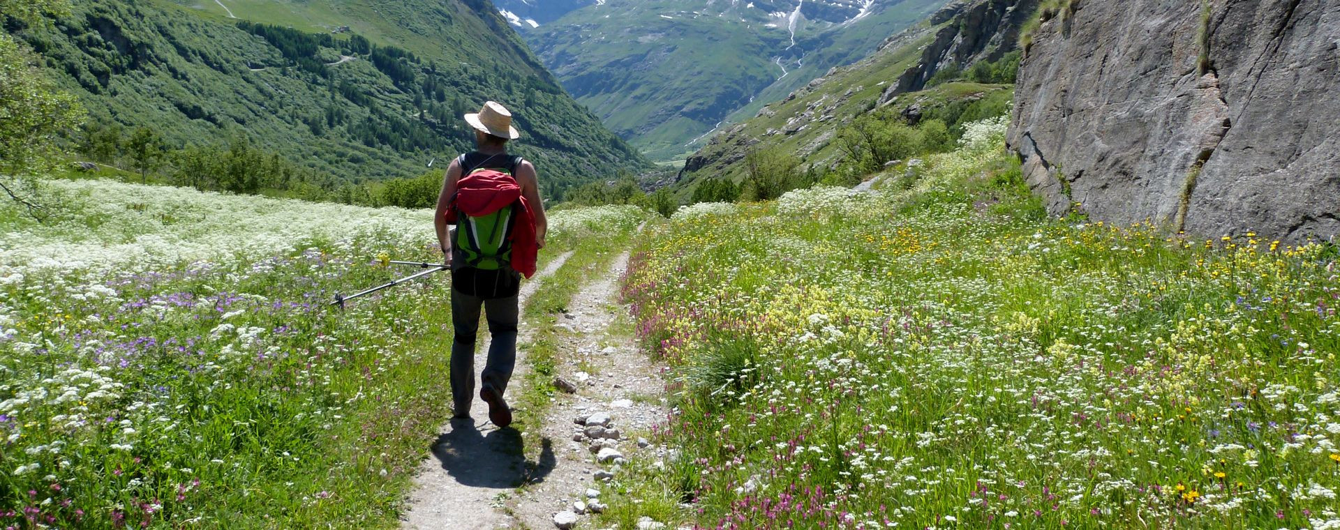 Randonneur dans la vallée fleurie - Vanoise - Alpes - France
