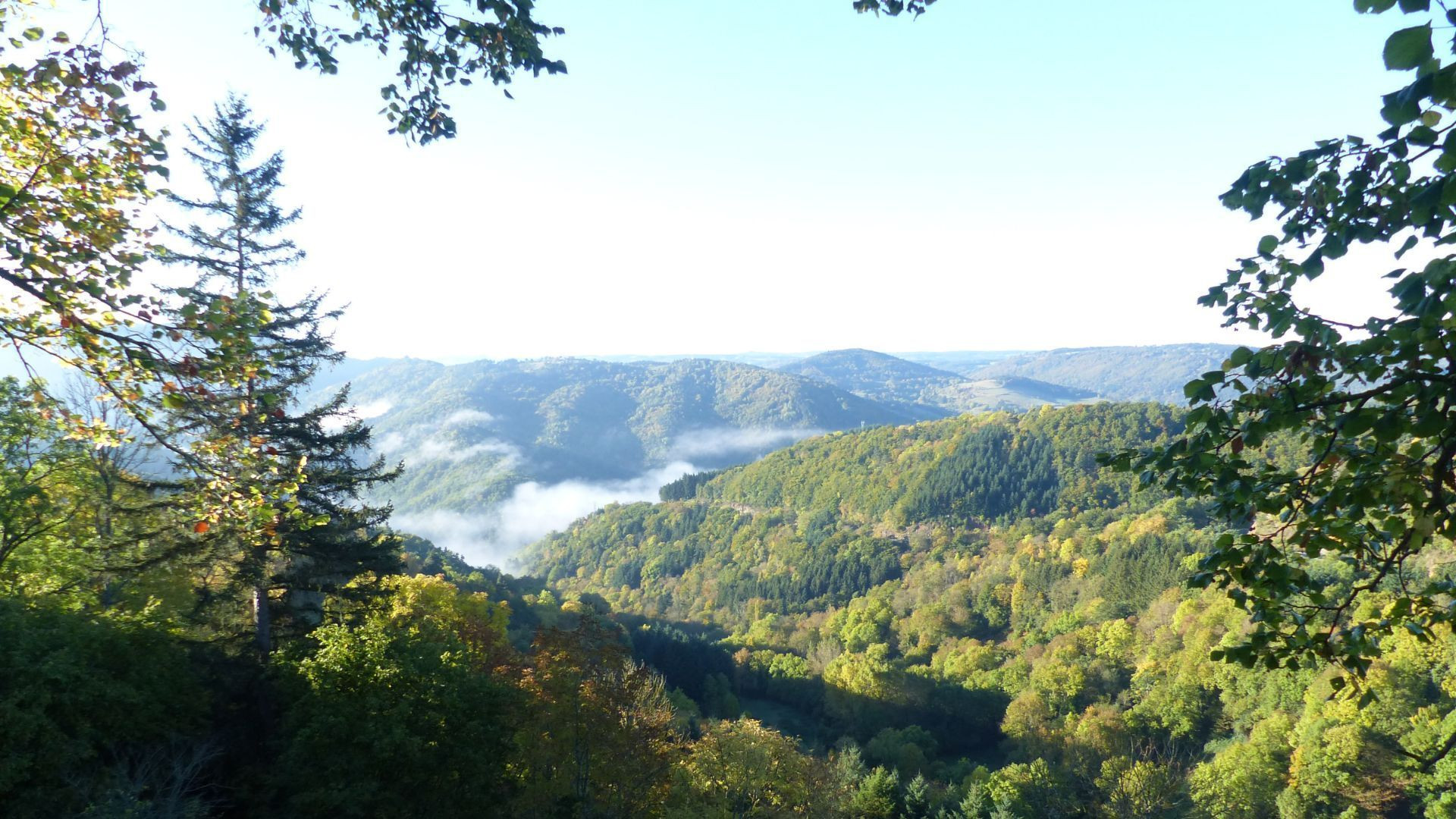 Vue sur les collines boisées en automne - Lituanie