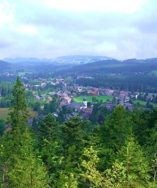 hinterzarten_c_pixabay__0.jpg
