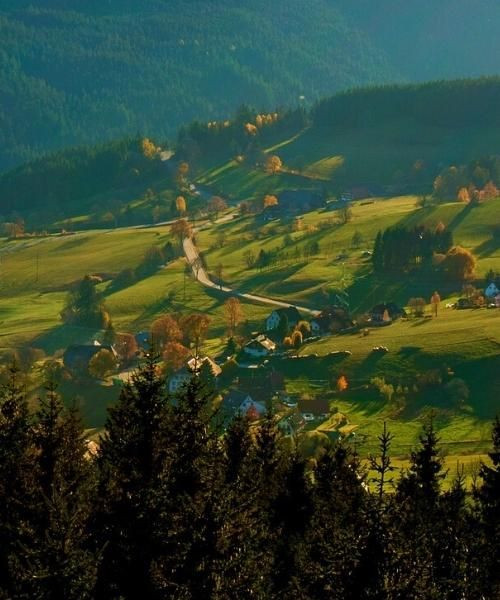 © Unsplash hinterzarten_c_unsplash_.jpg