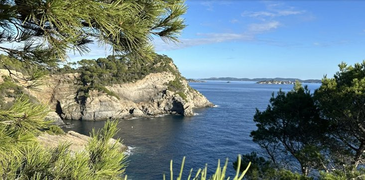 image_146.png