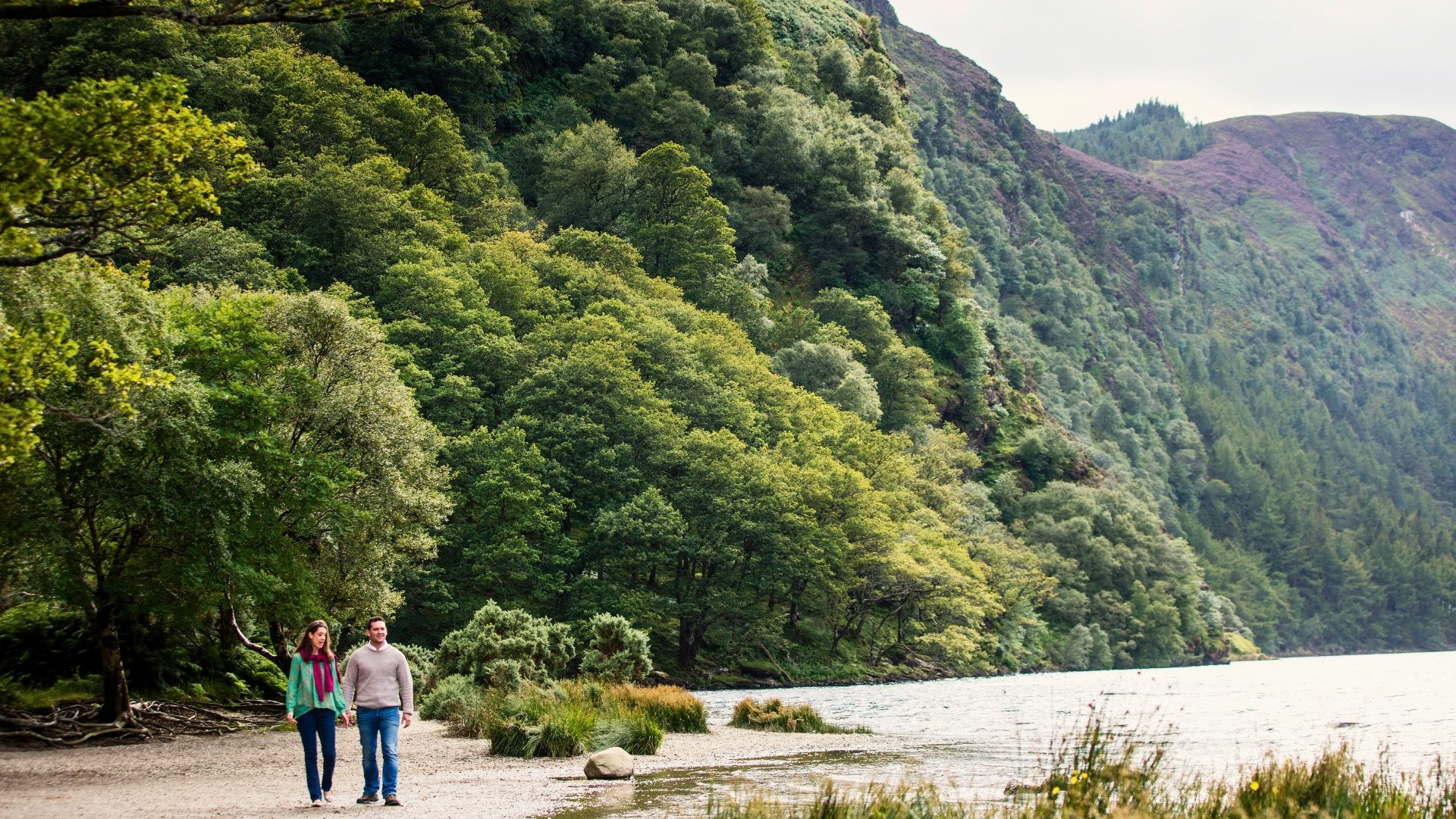 irllp0001-la-voie-de-wicklow-5
