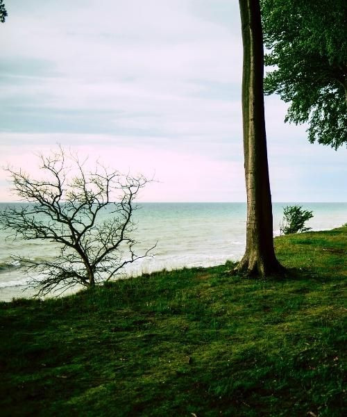 ile_de_mon_c_unsplash_.jpg